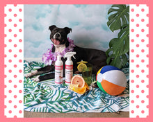 Load image into Gallery viewer, Shine Enhancing Grapefruit Citrus Shampoo