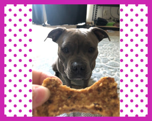 Chicken Jerky Snaps