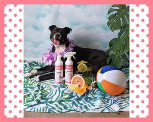 Shine Enhancing Grapefruit Citrus Shampoo